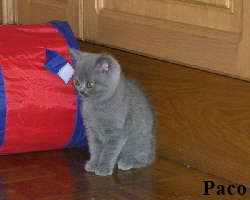 2007.07.25Paco 2599 (Small)