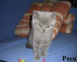 2007.07.11Paco 2385 (Small)